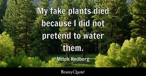 you stood by and watched me water a fake plant|Mitch Hedberg: 'My fake plants died because I did not pretend to water .